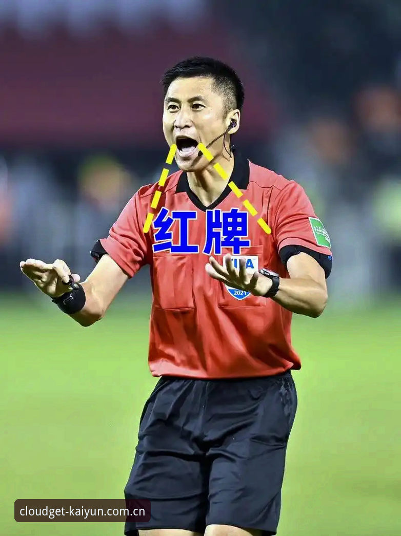 下载网站品牌首页怎么样 从马宁的世界杯执法观,聊开云体育官网看球赛的3个实用心得